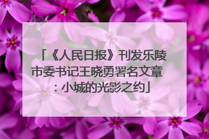 《人民日报》刊发乐陵市委书记王晓勇署名文章：小城的光影之约