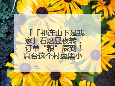 「祁连山下是我家」石磨昼夜转，订单“粮”辰到！高台这个村靠黑小麦面粉拿下成立来最大订单