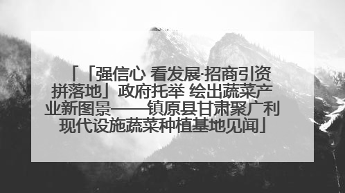 「强信心 看发展·招商引资拼落地」政府托举 绘出蔬菜产业新图景——镇原县甘肃聚广利现代设施蔬菜种植基地见闻