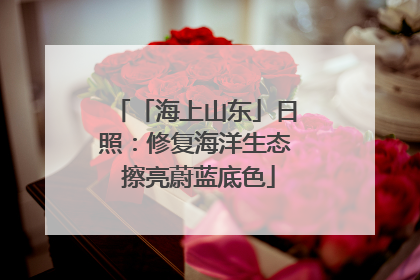 「海上山东」日照：修复海洋生态 擦亮蔚蓝底色