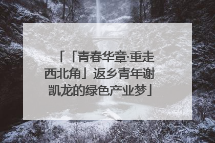 「青春华章·重走西北角」返乡青年谢凯龙的绿色产业梦