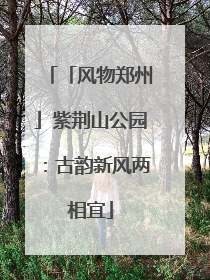 「风物郑州」紫荆山公园：古韵新风两相宜