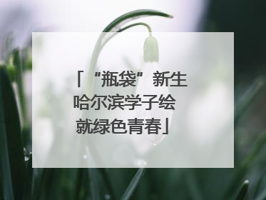 “瓶袋”新生 哈尔滨学子绘就绿色青春