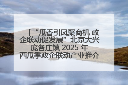 “瓜香引凤聚商机 政企联动促发展”北京大兴庞各庄镇 2025 年西瓜季政企联动产业推介活动圆满举行