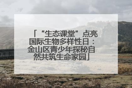 “生态课堂”点亮国际生物多样性日：金山区青少年探秘自然共筑生命家园