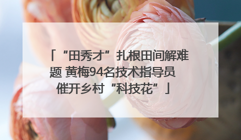 “田秀才”扎根田间解难题 黄梅94名技术指导员催开乡村“科技花”