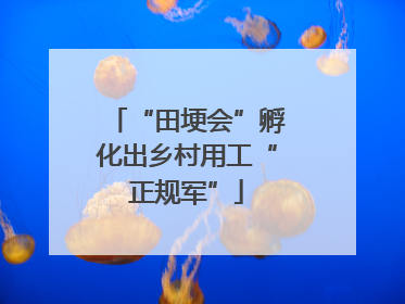“田埂会”孵化出乡村用工“正规军”