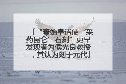 “秦始皇遣使‘采药昆仑’石刻”更早发现者为侯光良教授，其认为刻于元代