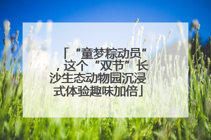 “童梦粽动员”，这个“双节”长沙生态动物园沉浸式体验趣味加倍