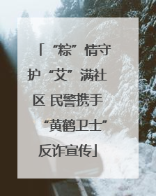 “粽”情守护“艾”满社区 民警携手“黄鹤卫士”反诈宣传