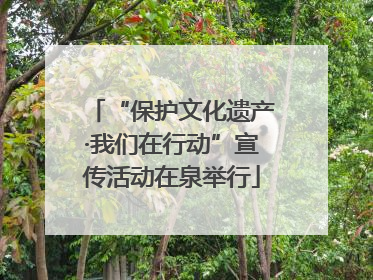 “保护文化遗产·我们在行动”宣传活动在泉举行