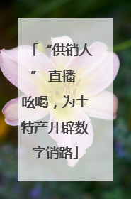 “供销人” 直播 吆喝，为土特产开辟数字销路