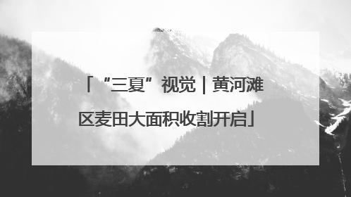 “三夏”视觉｜黄河滩区麦田大面积收割开启