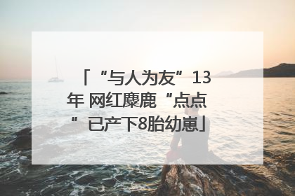 “与人为友”13年 网红麋鹿“点点”已产下8胎幼崽