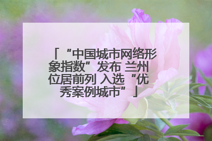 “中国城市网络形象指数”发布 兰州位居前列 入选“优秀案例城市”