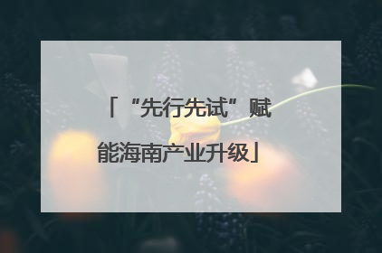 “先行先试”赋能海南产业升级