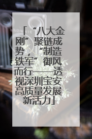 “八大金刚”聚链成势，“制造铁军”御风而行——透视深圳宝安高质量发展新活力