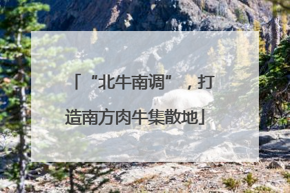 “北牛南调”，打造南方肉牛集散地