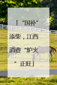“国补”添柴，江西消费“炉火”正旺