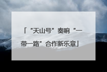 “天山号”奏响“一带一路”合作新乐章
