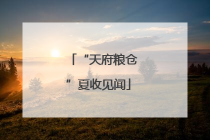 “天府粮仓”夏收见闻