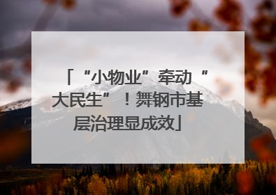 “小物业”牵动“大民生”！舞钢市基层治理显成效