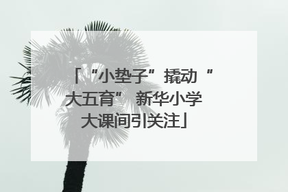 “小垫子”撬动“大五育” 新华小学大课间引关注