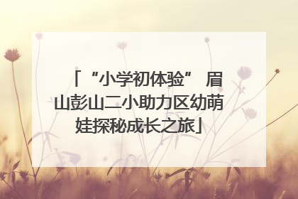 “小学初体验” 眉山彭山二小助力区幼萌娃探秘成长之旅
