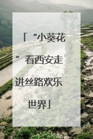 “小葵花”看西安走进丝路欢乐世界
