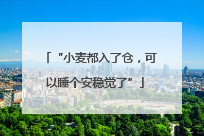 “小麦都入了仓，可以睡个安稳觉了”