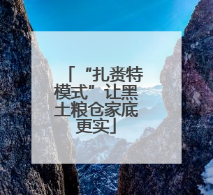 “扎赉特模式”让黑土粮仓家底更实