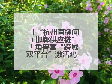 “杭州直播间+邯郸供应链”！角兽营“跨域双平台”激活鸡泽产业新动能