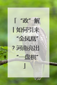 “政”解丨如何引来“金凤凰”？河南亮出“一盘棋”