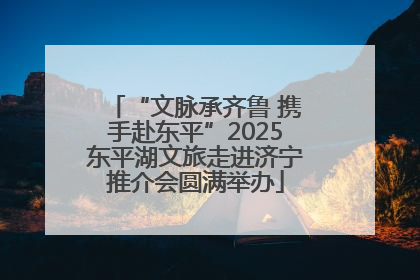 “文脉承齐鲁 携手赴东平”2025东平湖文旅走进济宁推介会圆满举办