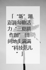 “新”潮澎湃勾勒活力“三夏耕作图” 田间地头满满“科技范儿”
