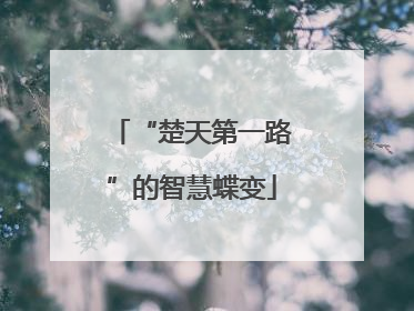 “楚天第一路”的智慧蝶变