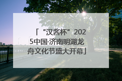 “汉酱杯”2025中国·济南明湖龙舟文化节盛大开幕
