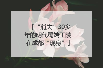 “消失”30多年的明代蜀端王陵在成都“现身”