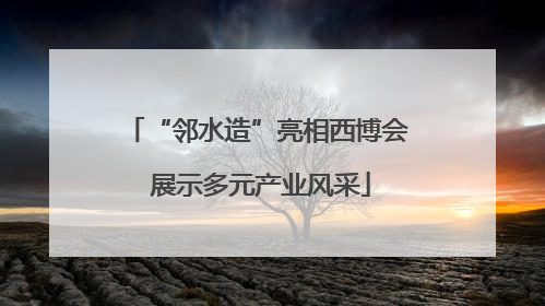 “邻水造”亮相西博会 展示多元产业风采
