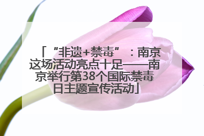 “非遗+禁毒”：南京这场活动亮点十足——南京举行第38个国际禁毒日主题宣传活动