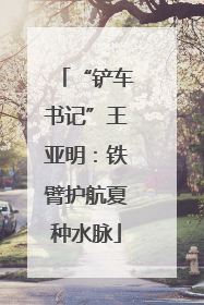 “铲车书记”王亚明：铁臂护航夏种水脉
