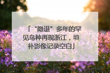“隐退”多年的罕见鸟种再现浙江，填补影像记录空白