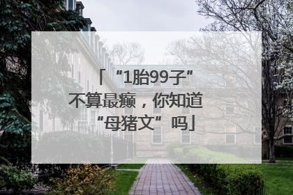 “1胎99子”不算最癫，你知道“母猪文”吗