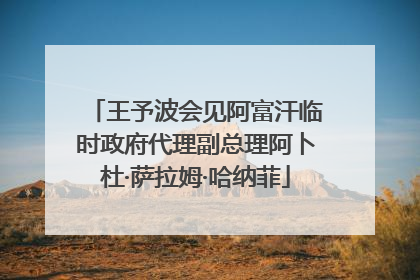 王予波会见阿富汗临时政府代理副总理阿卜杜·萨拉姆·哈纳菲