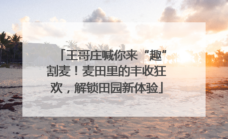 王哥庄喊你来“趣”割麦！麦田里的丰收狂欢，解锁田园新体验