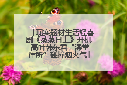 现实题材生活轻喜剧《蒸蒸日上》开机 高叶韩东君“澡堂律所”碰撞烟火气