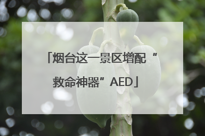 烟台这一景区增配“救命神器”AED