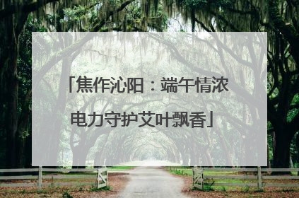 焦作沁阳：端午情浓 电力守护艾叶飘香