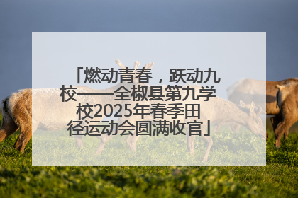 燃动青春，跃动九校——全椒县第九学校2025年春季田径运动会圆满收官