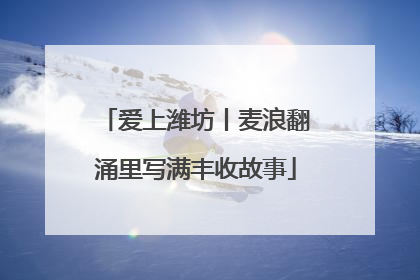 爱上潍坊丨麦浪翻涌里写满丰收故事